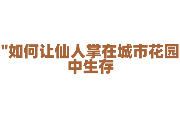 "如何让仙人掌在城市花园中生存？"